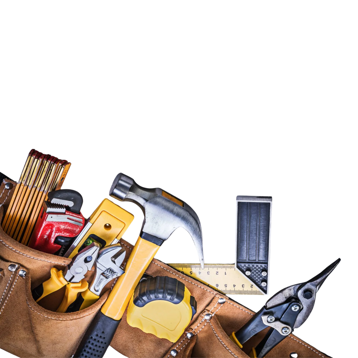 La Scelta dei Professionisti