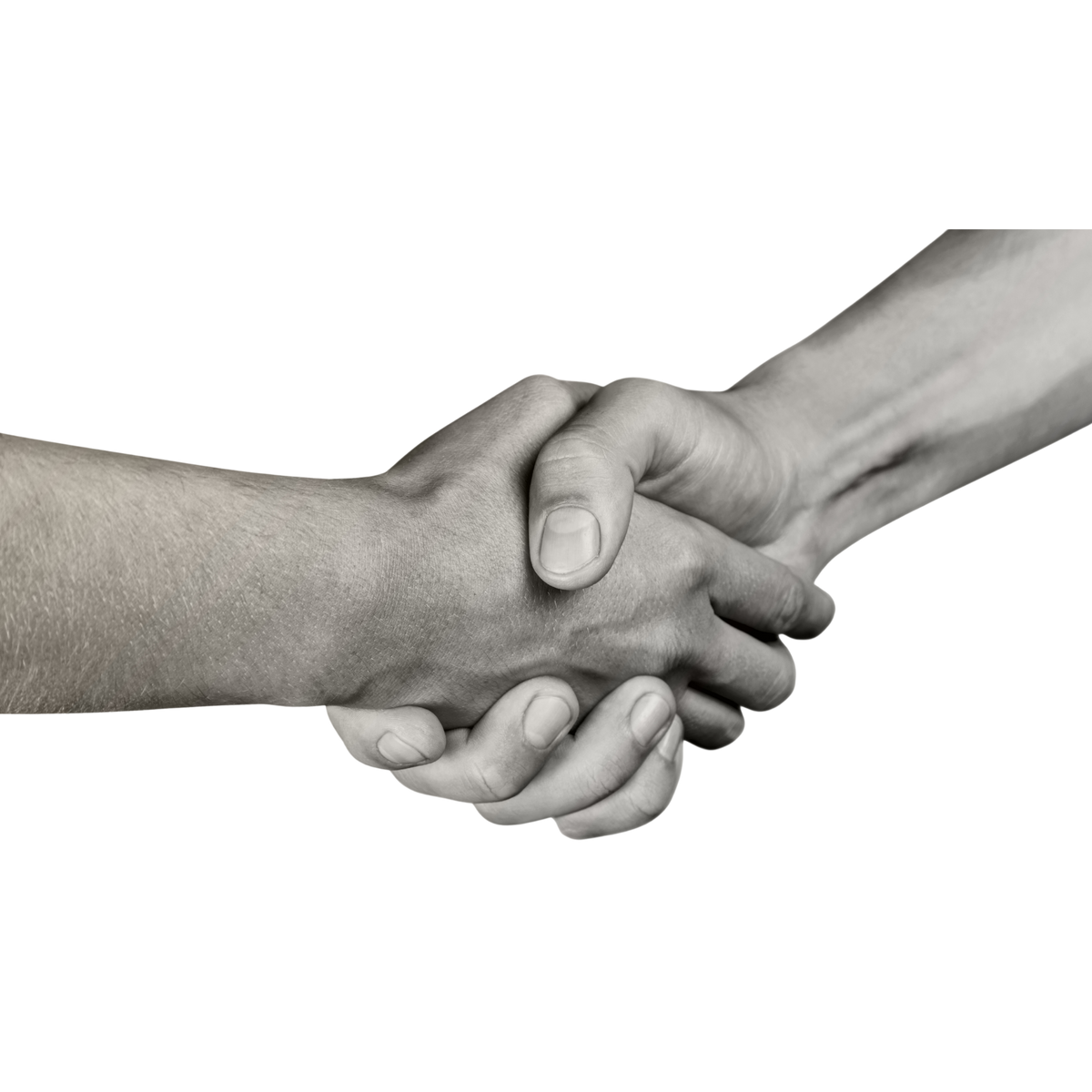  La Relazione: "Partner, non solo Fornitori"